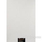 Ilford Galerie Classic Pearl Paper - 13x19" - 50 Sheets