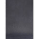 Botero #023 Muslin Background (5x7', Dark Grey)