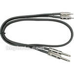 Hosa Technology Two 1/4" Phone Male to Two RCA Male Unbalanced Cable - 20'
