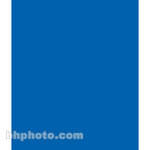 Backdrop-Alley Muslin Background - 10 x 24' - Chroma-Key Blue