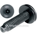 Middle-Atlantic HTX 10-32 3/4" Star Post Screws & Washers 50 Pieces