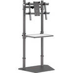 Advance 60" Fixed Plasma Stand