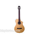 Line 6 VARIAX Acoustic 300 - 6-String Acoustic Modeling Guitar - Nylon String