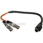 Hosa Technology S-Video to 2x BNC Female Video Cable - 10"