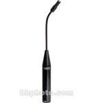 Earthworks P30 Periscope Microphone