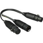 Kino Flo Splitter Cable - 1 Male to 2 Female - XLR