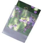 Archival Methods High-Density Poly Envelopes (5.25 x 7.25")