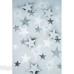 Studio Dynamics Canvas Scenic Background, Studio Mount (10x10', Grey Stars )