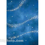 Studio Dynamics Canvas Scenic Background, Studio Mount (10x12', Star Dust )