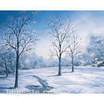 Studio Dynamics Canvas Scenic Background, Studio Mount (10x12', Winter Morn )