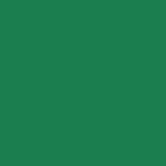 Savage 107" x 12yds Background Paper (#35 Holly)