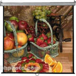 Vutec Econo Pro Manual Wall Front Projection Screen (120x120") 