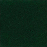 Savage 52"x20' Velvetine Background - Emerald Green