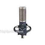 sE Electronics R1 Dynamic Ribbon Microphone