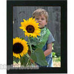 Lawrence Frame Black Wood Picture Frame - 8 x 12" (Single Frame )