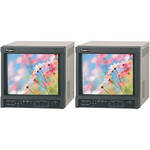 Ikegami Ikegami TM93DRM2 - Monitores de Rack de 9"