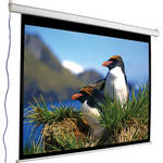 AccuScreens Motorized Projection Screen (Matte White)