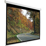 AccuScreens Accuscreen Manual Screen (Matte White)