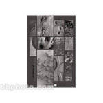 Sky Publishing Corp Poster: Textures of Mars Poster