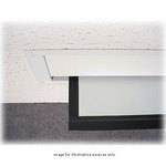 BEI Audio Visual Products Alpine XL Motorized Front Projection Screen (66x88")