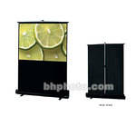 Toshiba Traveller Adjustable Portable Projection Screen -41-81.75 x 65.5"