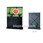 Toshiba Roadwarrior Adjustable Portable Projection Screen -41-69.25 x 49.5"