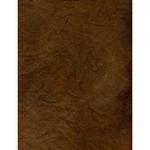 Savage Muslin Styled Background Panels - 40x60" - Verona