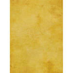 Savage Muslin Styled Background Panels - 40x60" - Roma