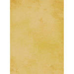 Savage Muslin Styled Background Panels - 40x60" - Pisa