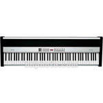 Ketron GP10A - 88-Key Digital Piano w/ Hammer Action and Built-In Speakers (Black/Silver)