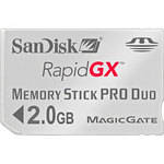 SanDisk 2GB RapidGX Gaming Memory Card