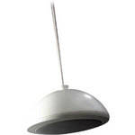 RBH HS615 Commercial Hanging Speaker