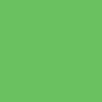 Savage Widetone Seamless Paper Background - 26" x 6yds.- #46 Tech Green