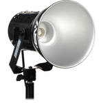 Smith-Victor A80 Ultra Cool 250 Watt  8" Flood Light (120VAC)