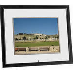 Digital Spectrum MV-1500 Multi-function Digital Picture Frame with 15" LCD - Black