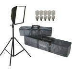 Westcott Spiderlite TD5 X-Small One Light Kit (120VAC)