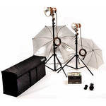 Speedotron DM604 600 W/S 2 Light System