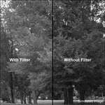 Kodak 4 x 12" #58 Green Wratten Gel Filter for Black & White Film