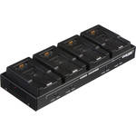 Dolgin Engineering TC-40-PAN Battery Charger - 4 Position, for Panasonic DVX-100