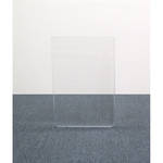 ClearSonic A3-1 3Hx2W' CSP CLEAR ACRYLIC 1-PANEL
