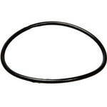 Delta Replacement O-Ring for Hot/Cold Filter Housing (75300)