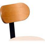 Balt Back Rest with (Black) Post