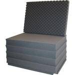 Porta Brace PB-2400FO Foam Set (Replacement)