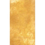 Savage Canvas Infinity Hand Painted  Background - 9 x 10' (Golden Sand)