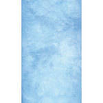 Savage Canvas Infinity Hand Painted  Background - 9 x 10' (Blue Skies)