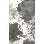 Savage Canvas Infinity Hand Painted  Background - 9 x 10' (Whirlwind)