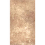 Savage Canvas Infinity Hand Painted  Background - 9 x 10' (Earth)