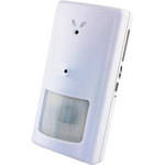 Motion Detection