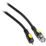 Pearstone BNC Male to RCA Male Video Cable (10')