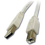 CablesToGo Cabo A/B USB 2.0 de 6,6" (Branco)